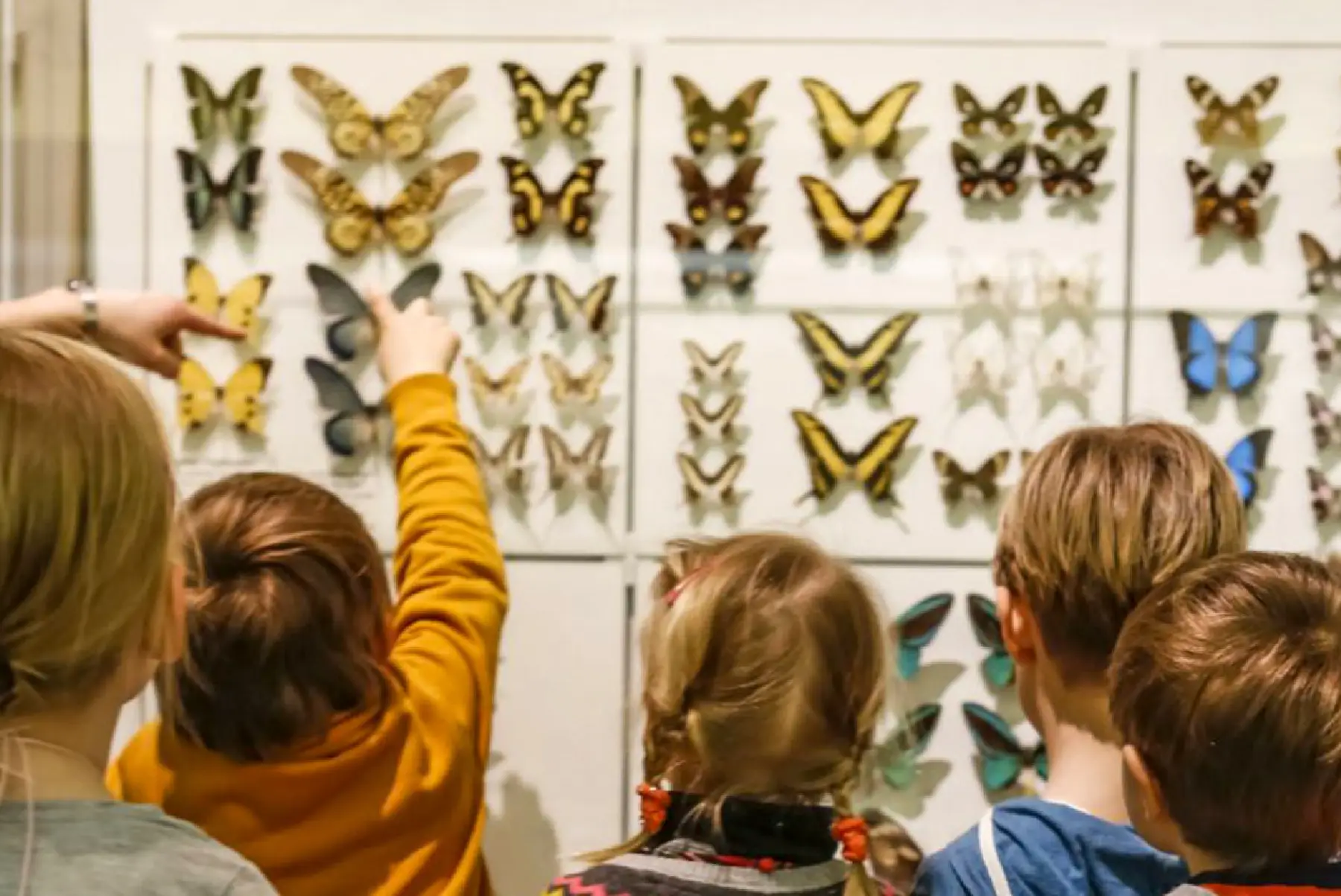 Senckenberg Gesellschaft